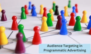 audience-targeting-programmatic-advertising